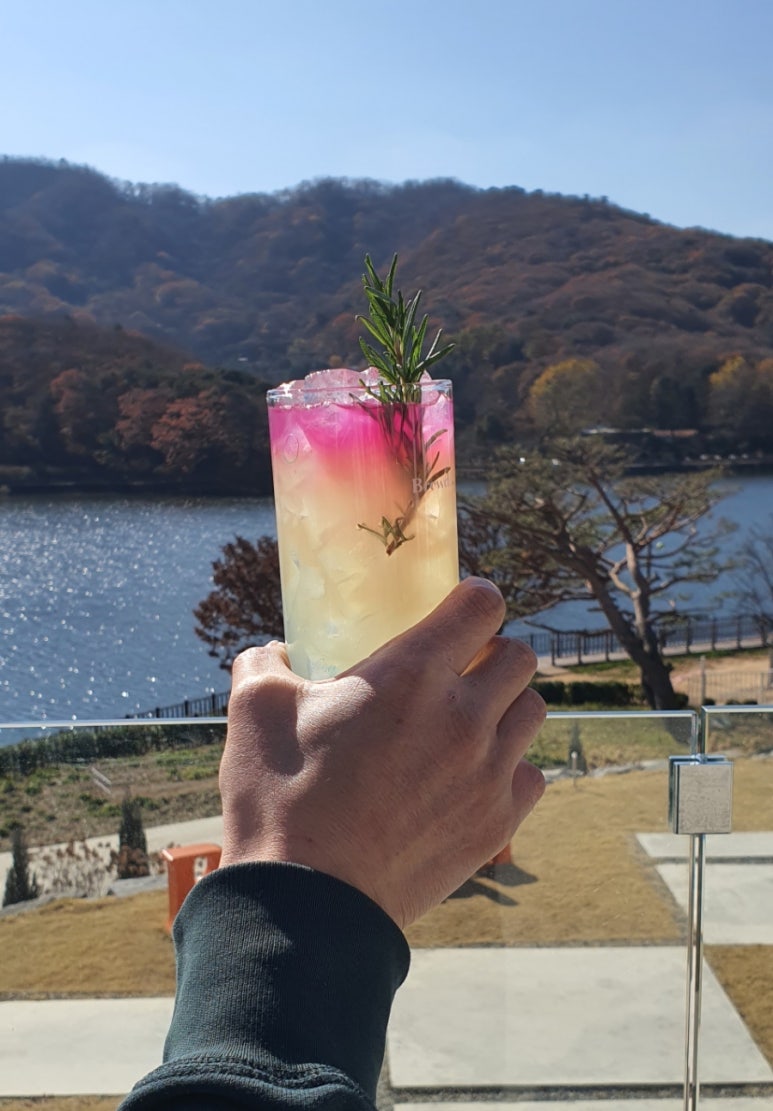 브르다 이미지