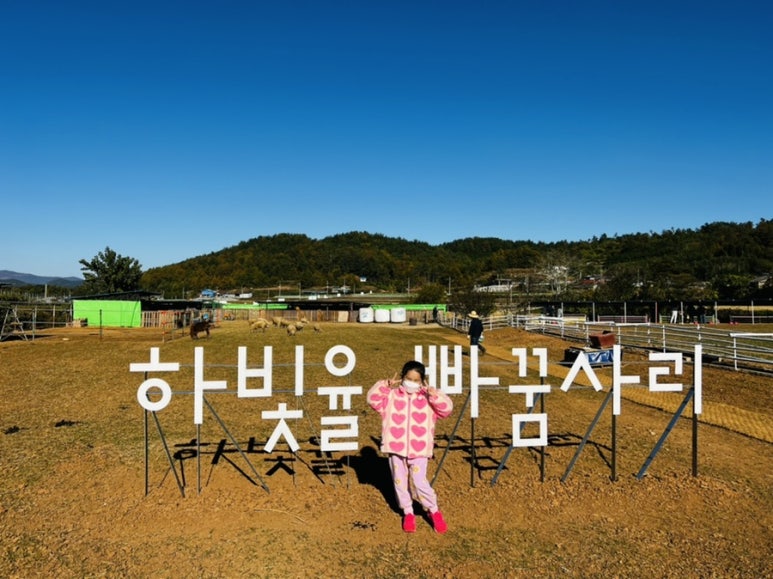 빠꿈사리 이미지
