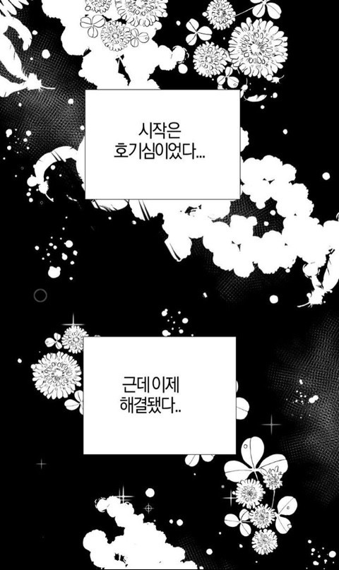 정언 이미지