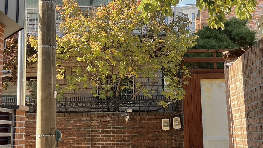 튀는걸 이미지