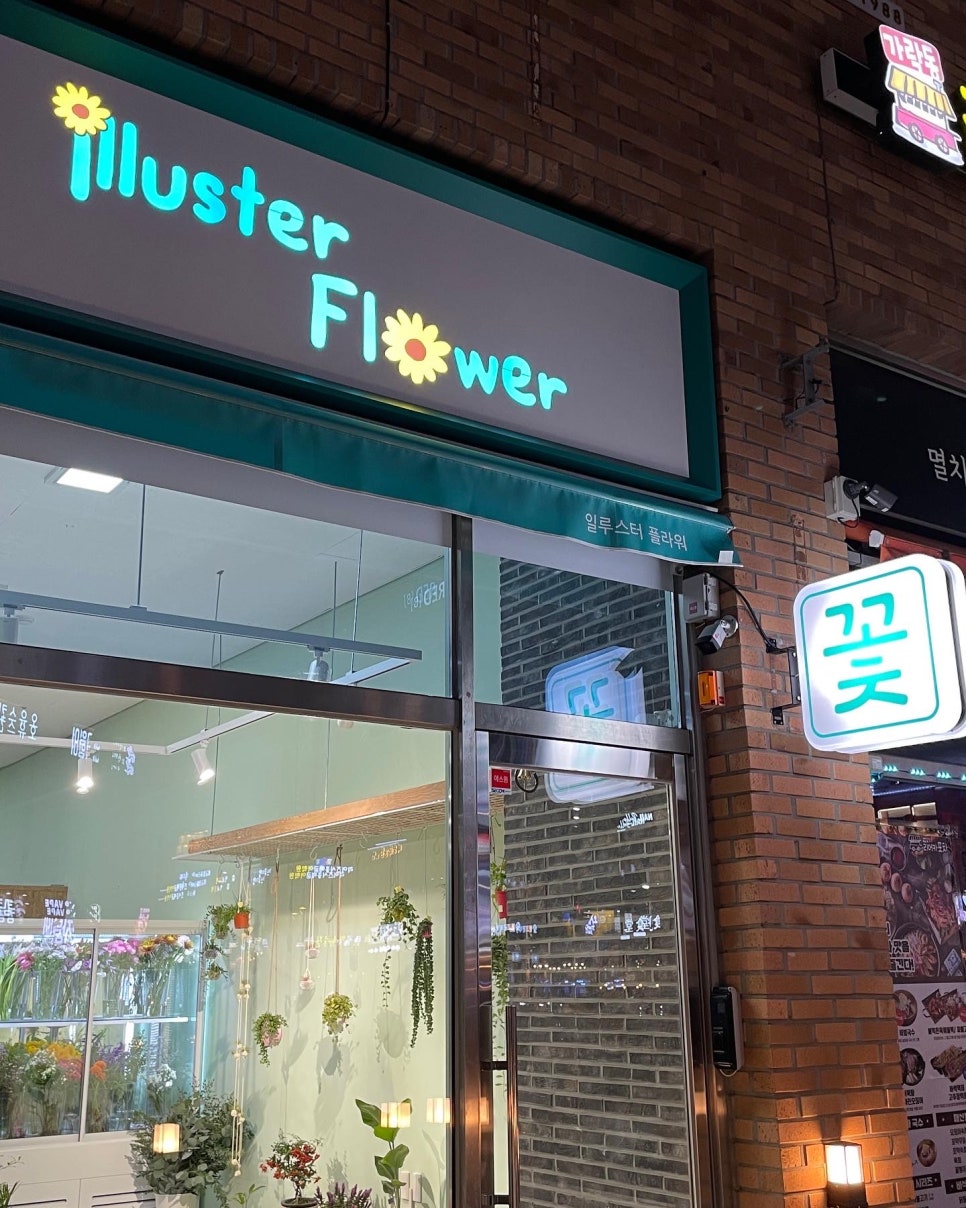 일루스터플라워 이미지