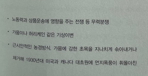 종화식품 이미지