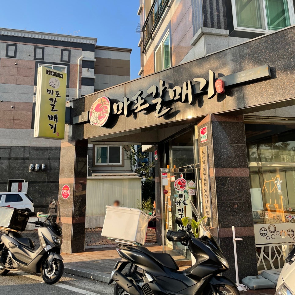 선운갈매기 이미지