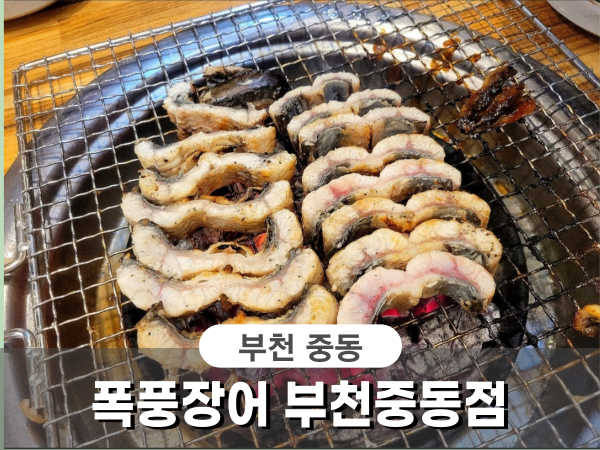폭풍장어중동 이미지