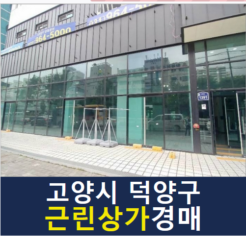 고양제비 이미지