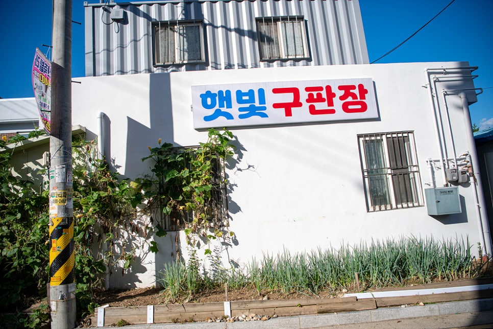 햇빛구판장 이미지