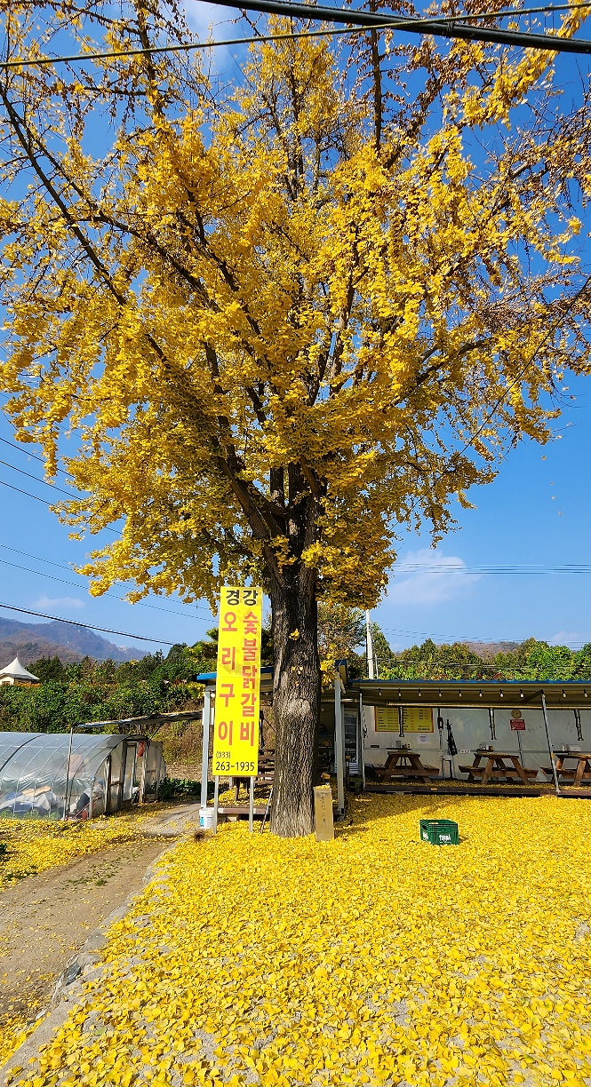 경강오리구이 이미지
