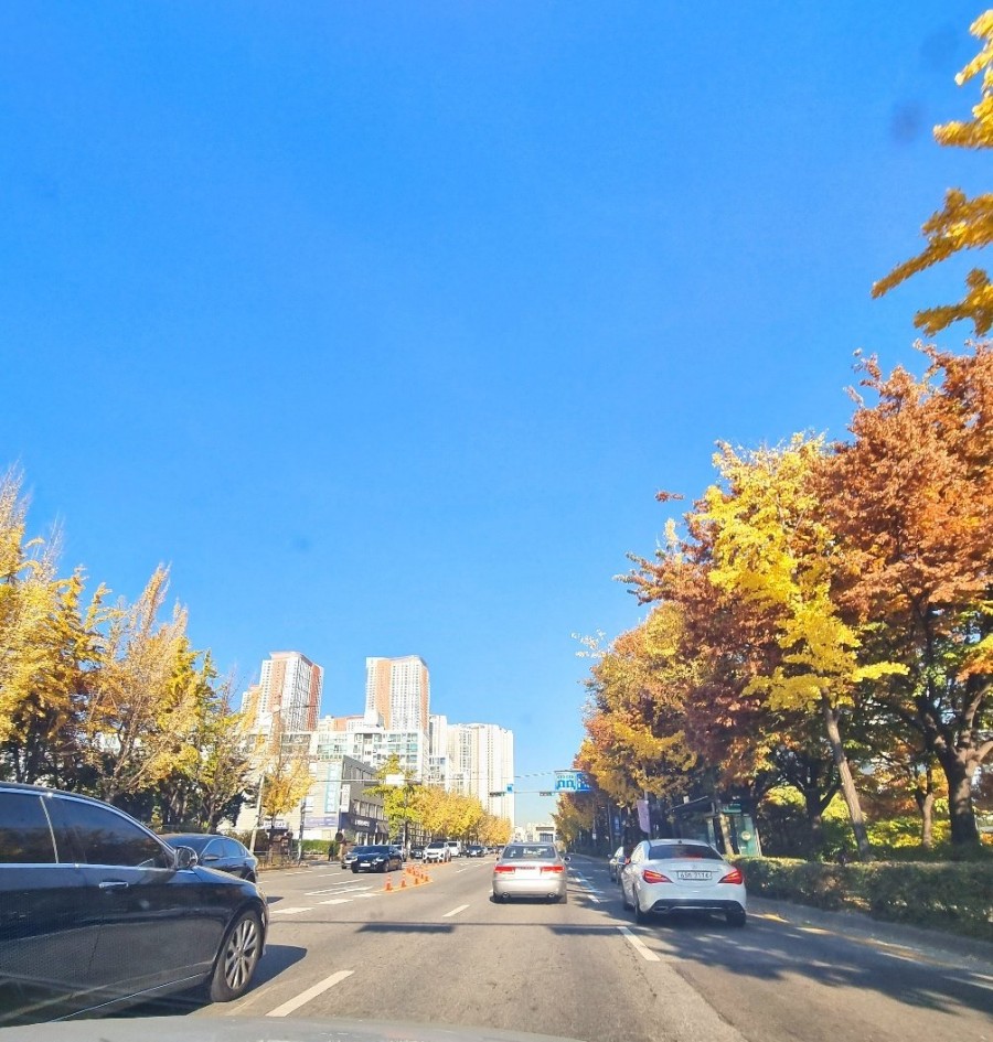 하늘이닿은집 이미지