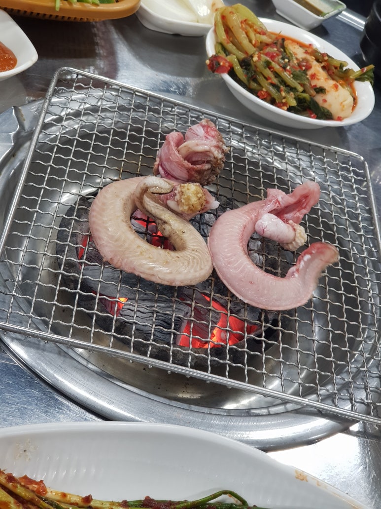 태원수산산곰장어 이미지