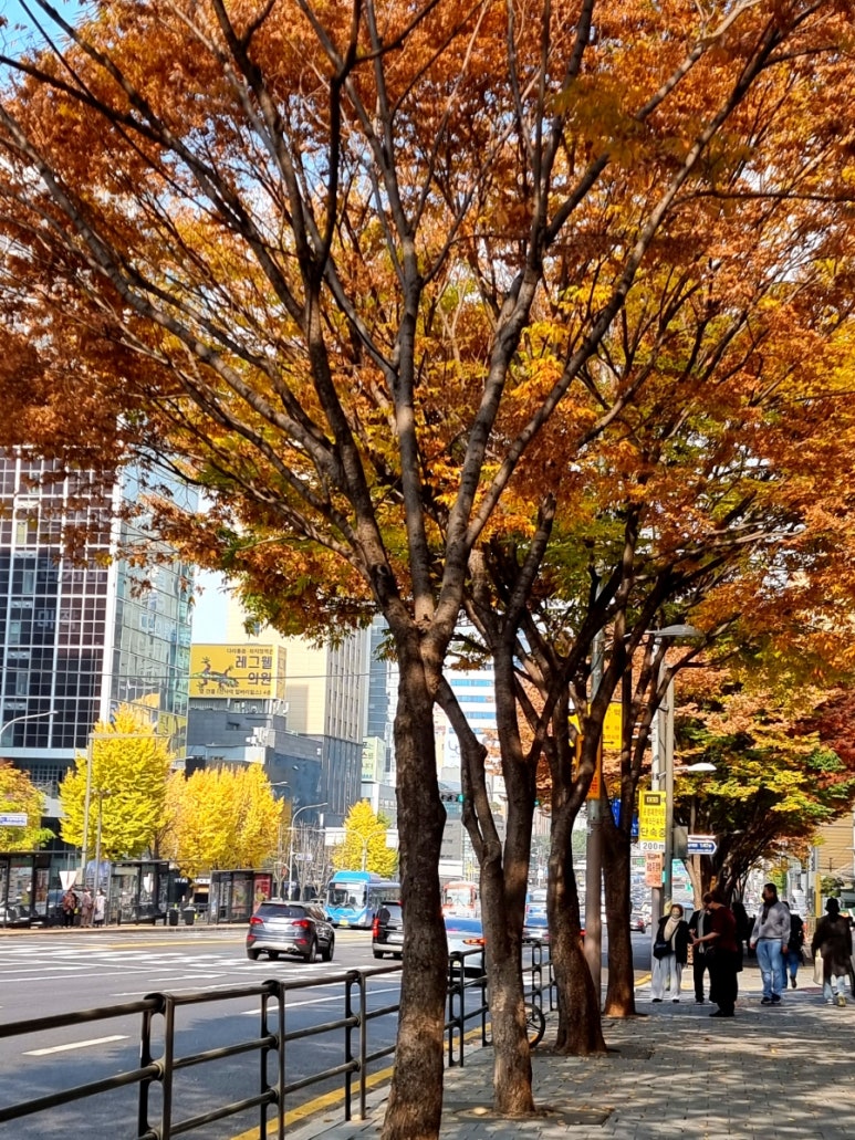 에이엔아더(A.N.OTHER) 이미지