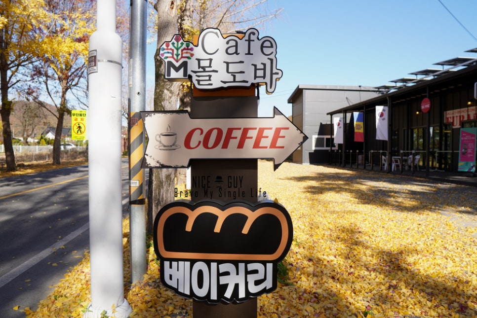 몰도바문화원 이미지