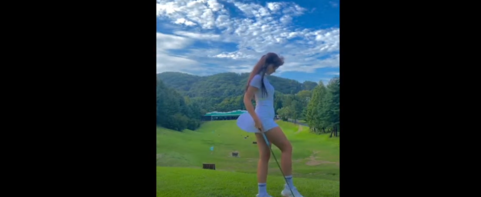 팔프로 이미지