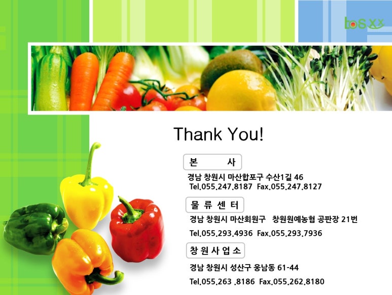 신요푸드 이미지