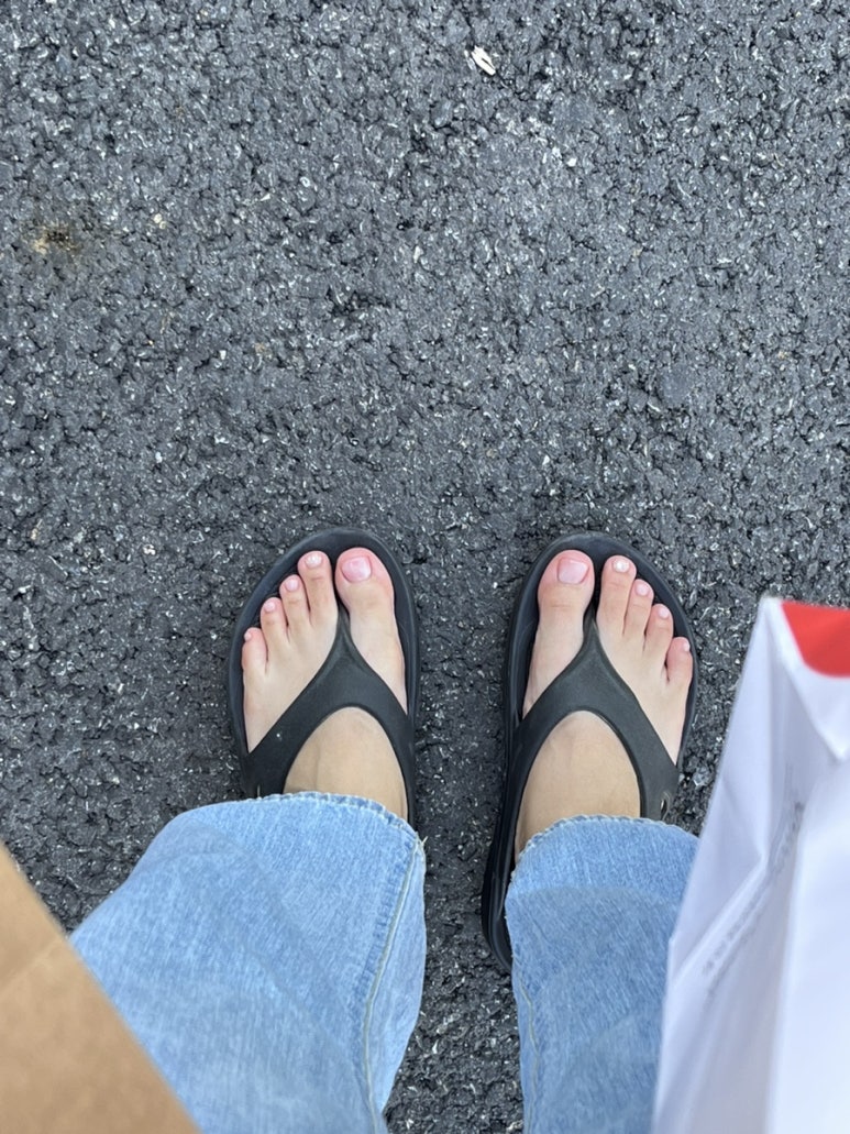 네일비비유 이미지