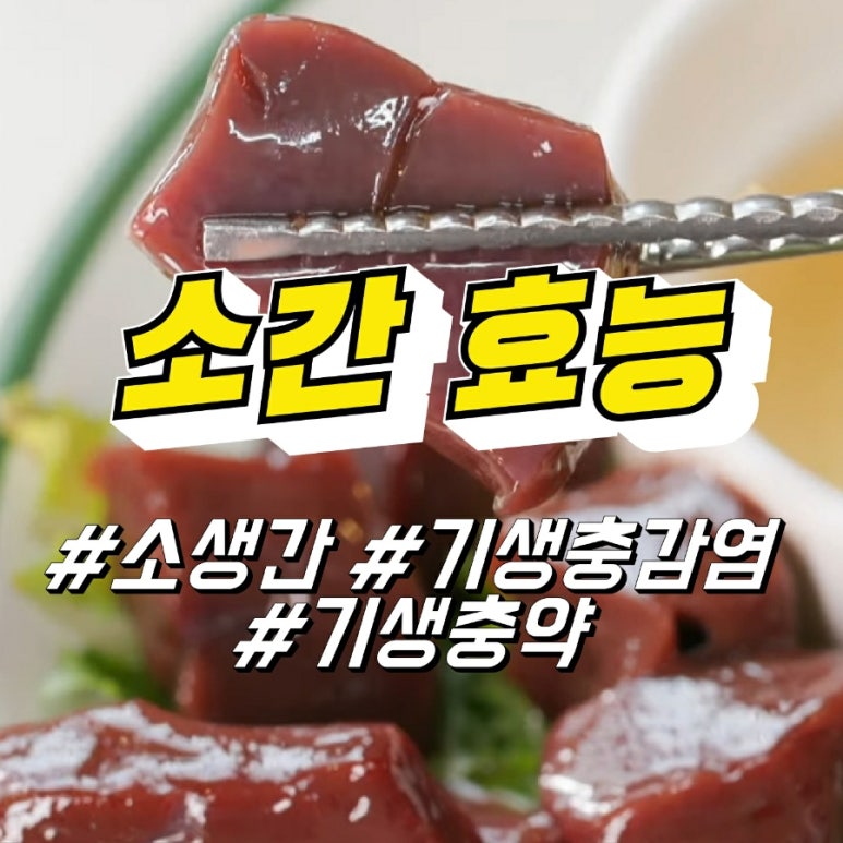 소간 효능, 소생간 기생충 감염증상, 기생충약 : 네이버 블로그