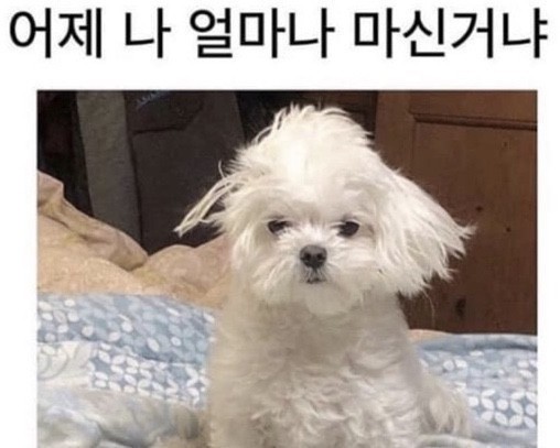 별미국밥 이미지