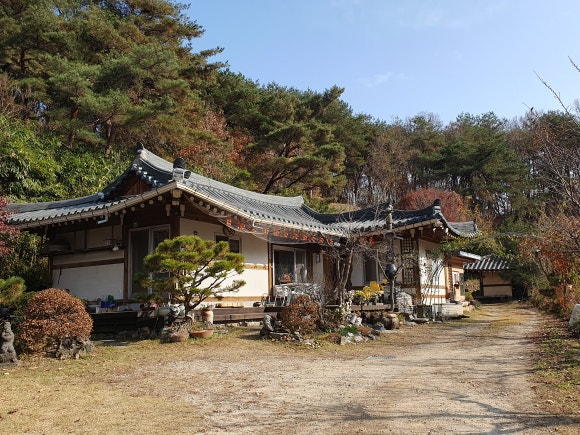 백송당 이미지