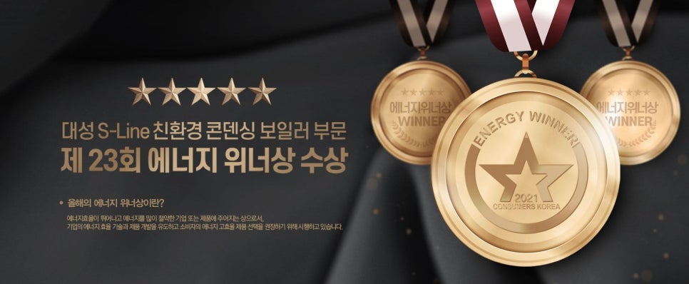 대성쎌틱에너시스(주) 이미지