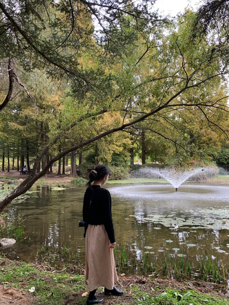데일리샤 이미지
