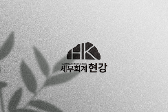 세무회계현강 이미지
