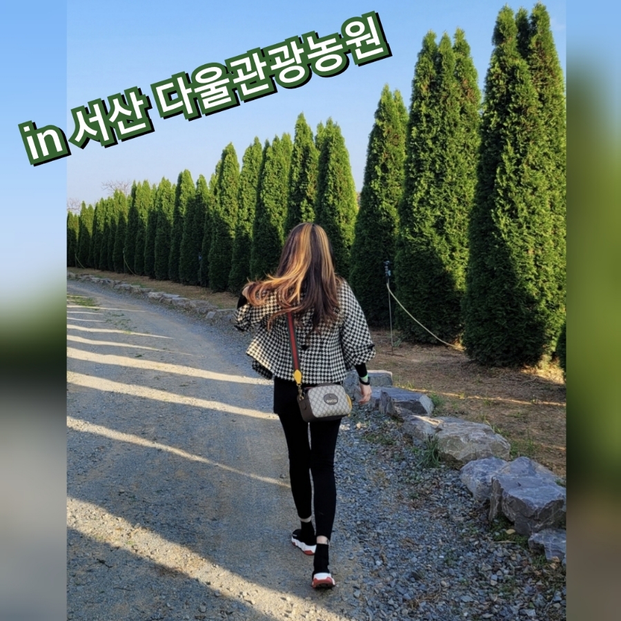 다울관광농원 이미지