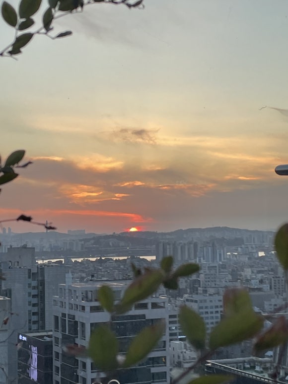 노벰버내추럴 이미지