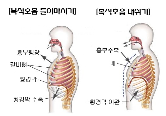 노블레스짐 이미지