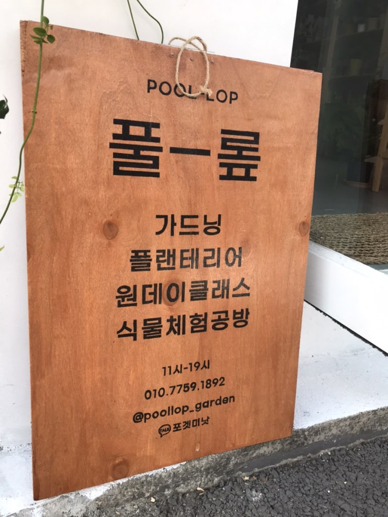 풀롶 이미지
