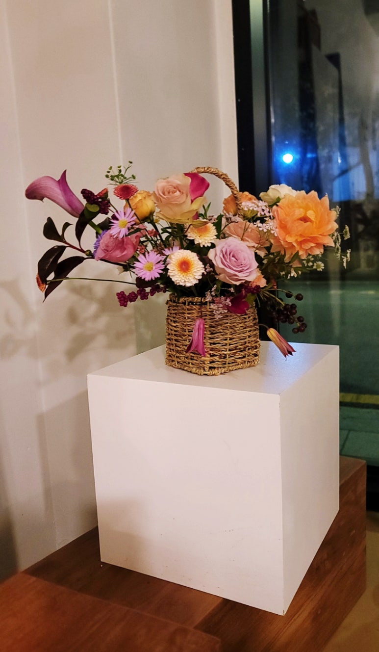르코스모스 이미지