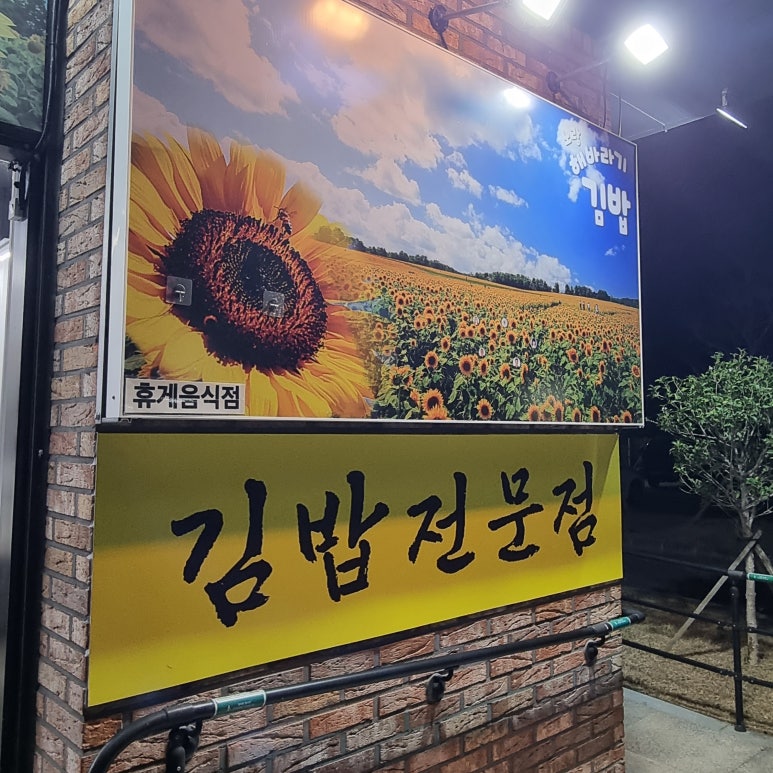 노랑해바라기김밥 이미지