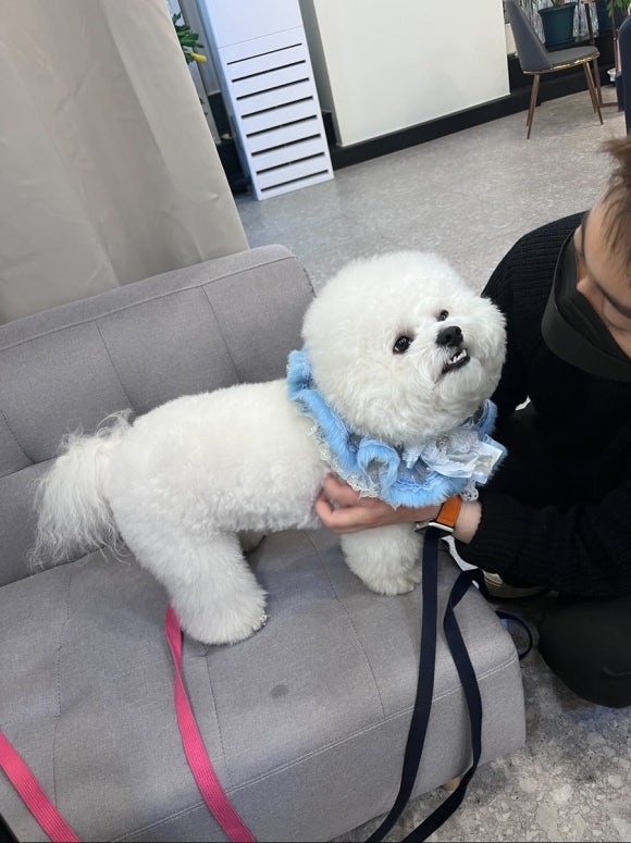 빈카살롱 이미지