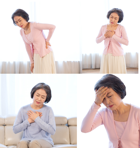 서울경기메디케어 이미지