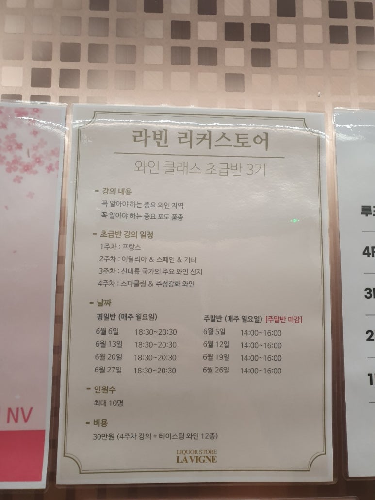 라빈 플러스 이미지