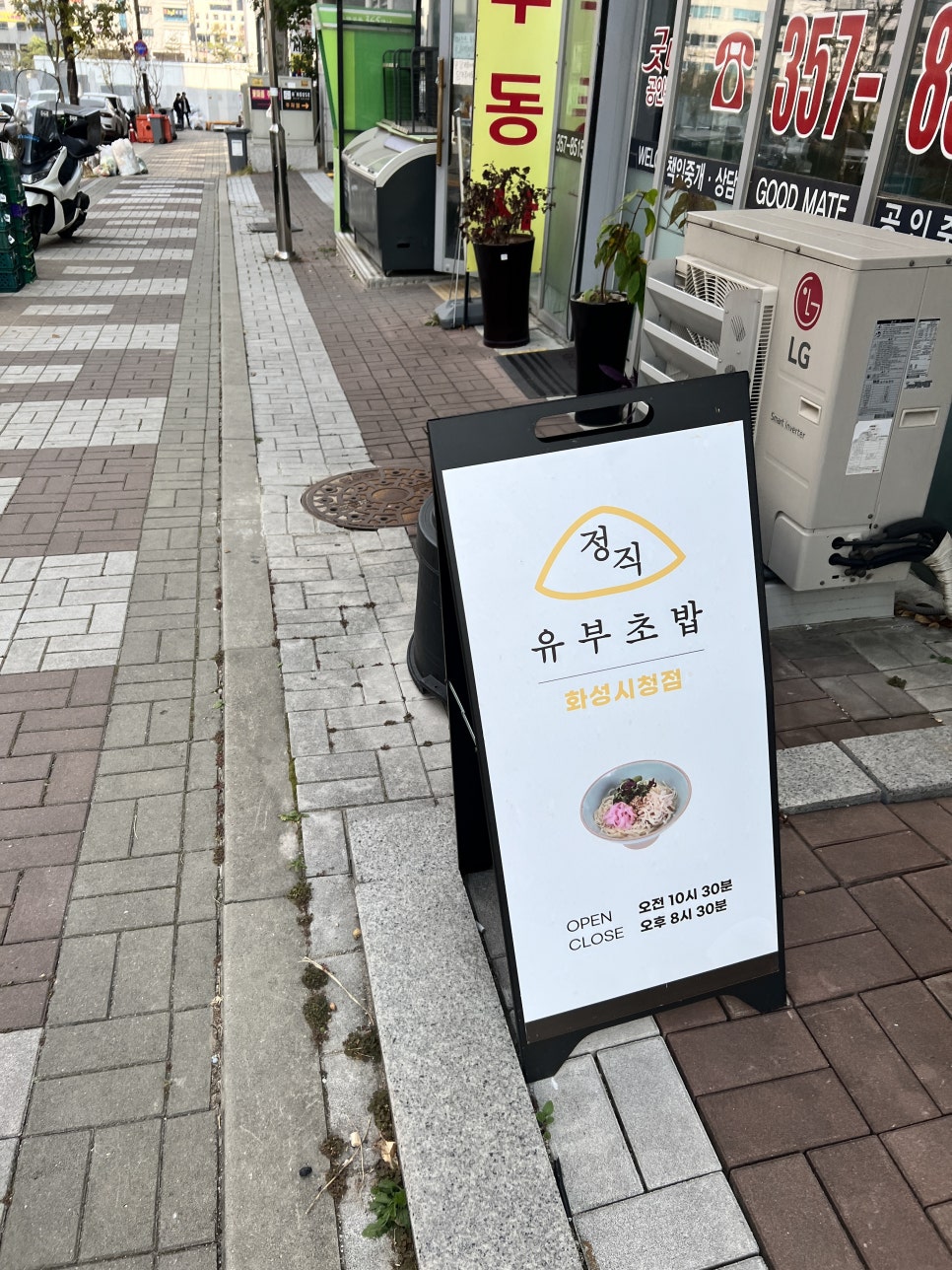 정직유부화성 이미지