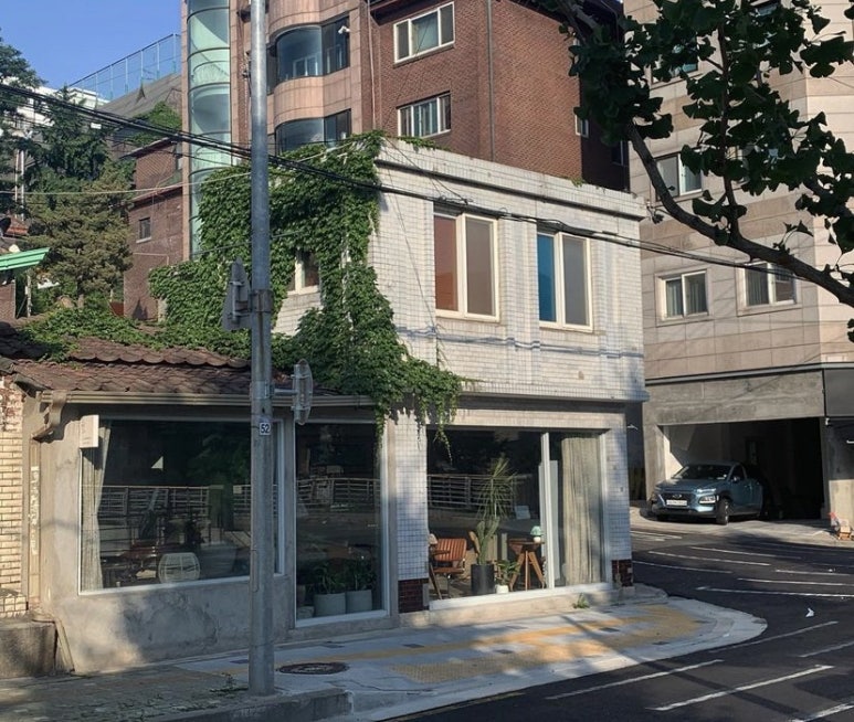박디 이미지