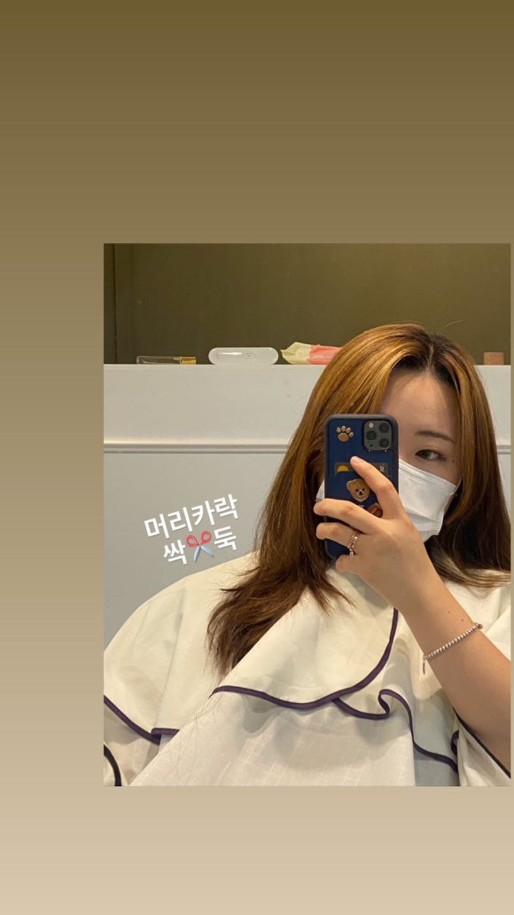 로슬린헤어 이미지