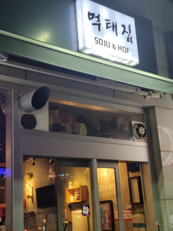 먹태언니 이미지