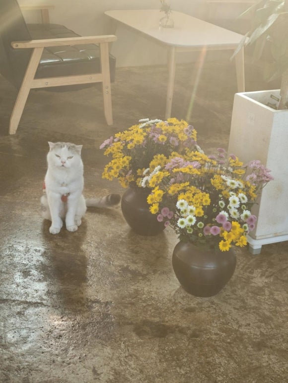 장성마실 이미지