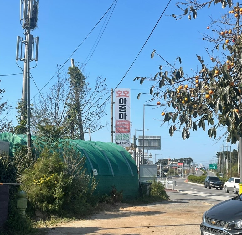낙지아줌마 이미지