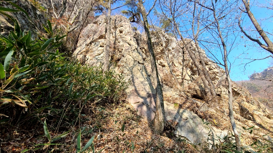 바우골 이미지