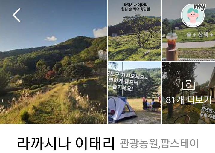 자연지기약초 이미지