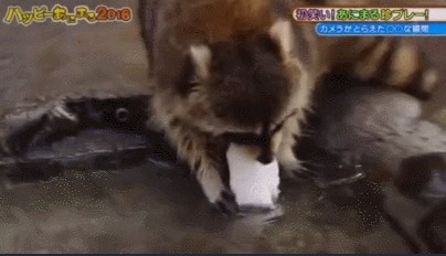 구움씨 이미지