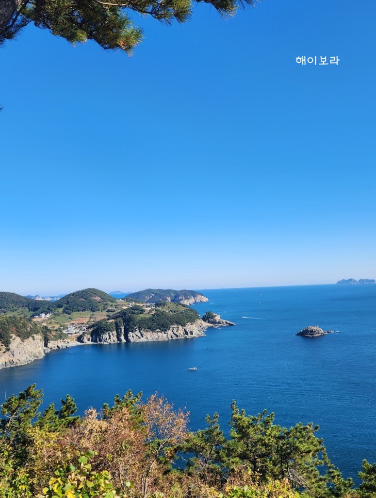 수제감꿀빵 이미지