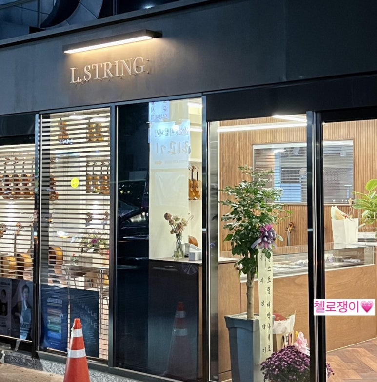 엘스트링 이미지