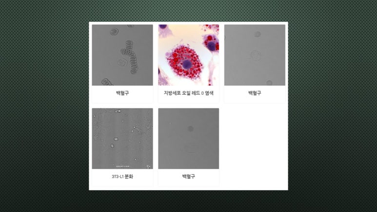 유경 파트너스 이미지