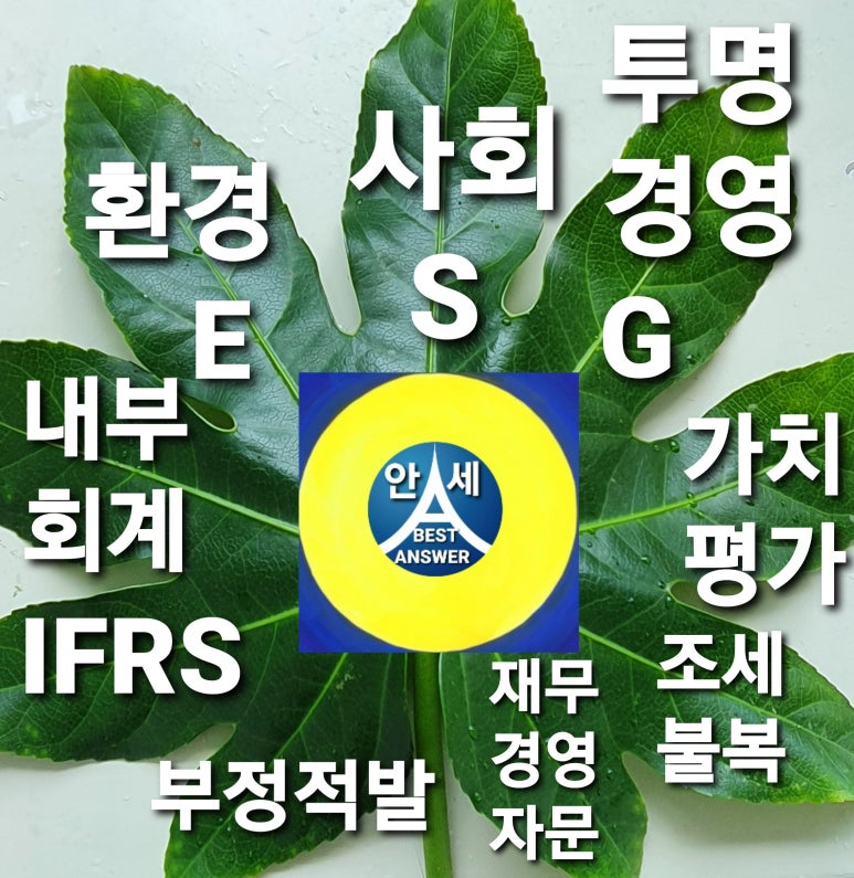 안세컨설팅 이미지