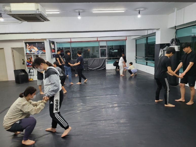 태평미트 이미지