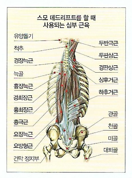 크로스핏트루 이미지