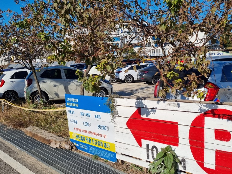 입실다방 이미지