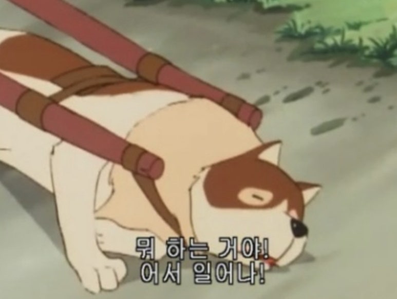 카페 안경 이미지